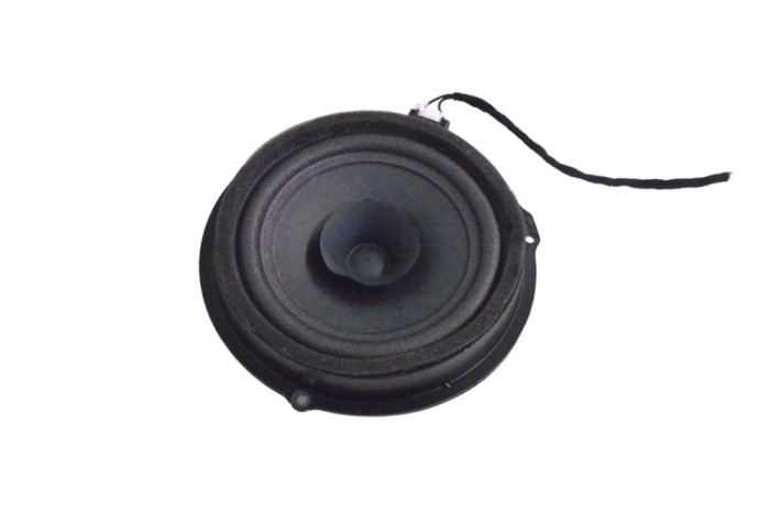 Difuzor ușă st&acirc;nga spate FORD ECOSPORT 2022 OEM: GN15-18808-CB 17197203