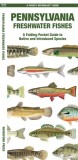 Pennsylvania Freshwater Fishes: A Folding Guide to Native and Introduced Species