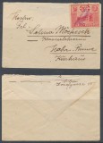 Posta locala Paltinis plic rar francat la sosire in 1929 cu timbru 1L / 1924