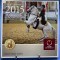 AUSTRIA 2015 - Set monetarie 1 cent-2 euro -folder/ BU