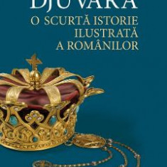 O scurta istorie ilustrata a romanilor - Neagu Djuvara