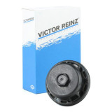 Simering Arbore Cotit Victor Reinz 81-38518-00, General