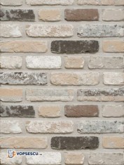 Caramida aparenta Terca Rustica Oud Leerne, 21.5x10.2x6.5 cm foto