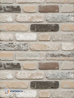 Caramida aparenta Terca Rustica Oud Leerne, 21.5x10.2x6.5 cm foto