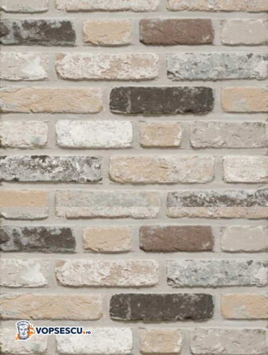 Caramida aparenta Terca Rustica Oud Leerne, 21.5x10.2x6.5 cm