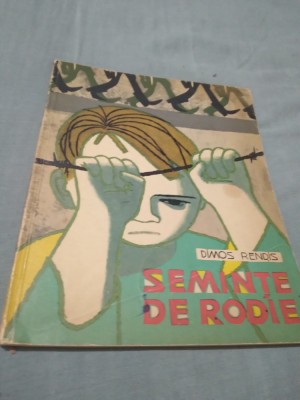 SEMINTE DE RODIE -DIMOS RENDIS foto