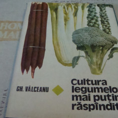 Gh. Valceanu - Cultura legumelor mai putin raspandite- 1982 Ceres