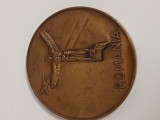 medalia de onoare a Autoritatii Aeronautice Civile Romane , Monumentul Aviatorilor