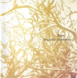 Ryuichi Kawamura Love CD Album Gai Records Stare Foarte Buna