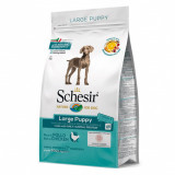 Schesir dog Large Puppy - Chicken and rice 12 kg