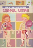 Prima mea carte despre corpul uman - Renzo Barsotti
