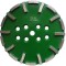 Disc cu segmenti diamantati pt. slefuire pardoseli - segment dur - Verde - 250 mm - prindere 19mm - DXDH.8500.250.23