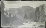 Carte postala, Tusnad iarna, 1933