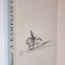 A kamelias holgy - Ifjabb Alexandre Dumas