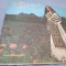 DISC VINIL MARIA DRAGOMIROIU EPE 02666