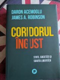 Daron Acemoglu, CORIDORUL INGUST. STATE, SOCIETATI SI SOARTA LIBERTATII