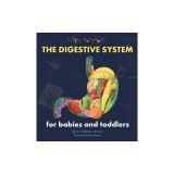 The Digestive System for Babies and Toddlers