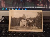 Castelul Pelișor Sinaia, circa 1900, 205