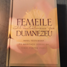 Femeile il intalnesc pe Dumbezeu noul testament cu meditatii scrise de femei