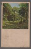 CPIB 20846 CARTE POSTALA, FELICITARE - PEISAJ, PADUREIM BUCHENWALD, 1904, Circulata, Printata