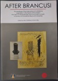 AFTER BRANCUSI: PROCEEDINGS OF THE INTERNATIONAL CONFERENCE &#039;SAINT OF MONTPARNASSE&#039; FROM DOCUMENT TO MYTH/A CENTURY OF CONSTANTIN BRANCUSI SCHOLARSHIP