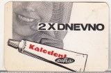 bnk cld Calendar 1969 Kolodent