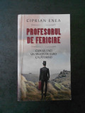 CIPRIAN ENEA - PROFESORUL DE FERICIRE, Rao