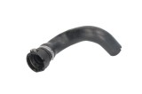 Furtun radiator FIAT PANDA (169) (2003 - 2016) THERMOTEC DWF073TT