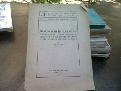 Impaduriri in Baragan - I. Vlad foto