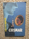 Cosmar &ndash; Rodica Ojog-Brasoveanu