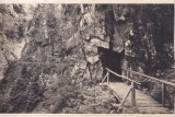 Sibiu. Valea Cibinului Tunel (circulata 1937)