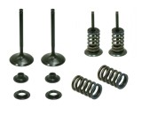 Set supape admisie Kawasaki KXF 250 04- 06, Suzuki RMZ 250 04- 06 Namura XU-09509IK