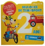 Cumpara ieftin Mijloace de transport. Cuvinte pentru varsta mea/***