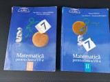 MATEMATICA CLASA A VII A , PARTEA I SI II PERIANU , BALICA SAVULESCU, Clasa 7