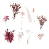 Flori Uscate Roz Fucsia pentru Creatii, 20g, CMCLASS