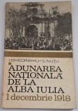 I. Gheorghiu, C. Nutu - Adunarea Nationala de la Alba Iulia (1 decembrie 1918)