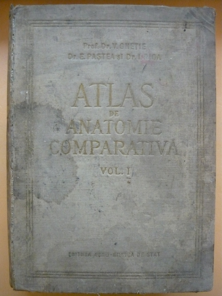 GHETIE - ATLAS DE ANATOMIE COMPARATIVA - volumul I | Okazii.ro