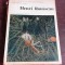 HENRI ROUSSEAU - ALBUM