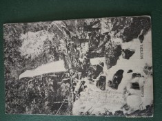 vedere carte postala BUSTENI -CASCADA URLATOAREA foto