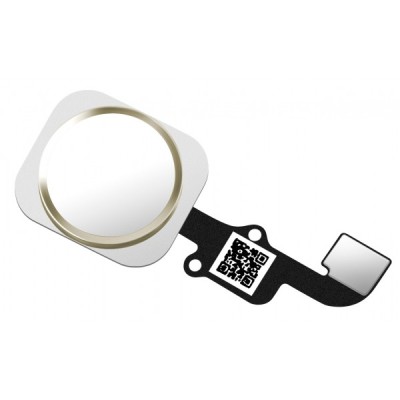 Ansamblu Buton Meniu Apple iPhone 6 / 6 Plus, cu banda, Auriu foto