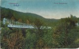 CP953N Călimănești, Podul suspendat, carte poștală