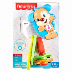 Chei Bebe Cu Sunete Limba Romana Fisher Price foto