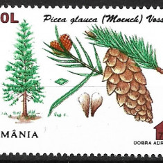 C3828 - Romania 2000 - Flora 1v. neuzat,perfecta stare