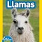 National Geographic Readers: Llamas (L1)