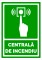 Foto  - 1