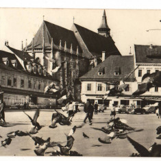 CPIB 17364 CARTE POSTALA - BRASOV. PIATA 23 AUGUST, PORUMBEI