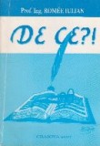De Ce? - Romee Iulian