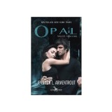 ONIX. Seria LUX, Vol.2 - Corint