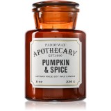 Paddywax Apothecary Pumpkin Spice lum&acirc;nare parfumată 226 g