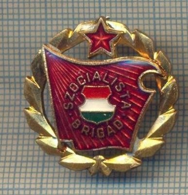 Y 519 INSIGNA - SZOCIALISTA BRIGAD - UNGARIA - PENTRU COLECTIONARI foto